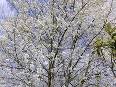 -名花谷生态庄园