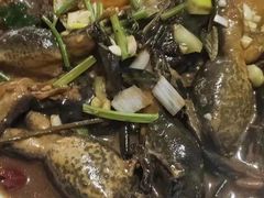 -庆岭迎宾园正宗活鱼馆