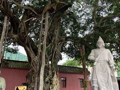 -闽粤南澳总镇府