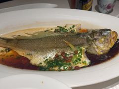 -维园悦谱·海派家常菜(乌鲁木齐南路店)
