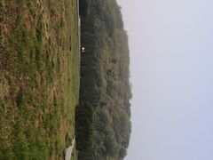 -汉景帝阳陵博物院