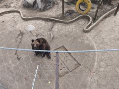 -无锡动物园·太湖欢乐园