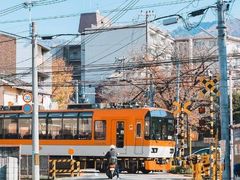 -名古屋城