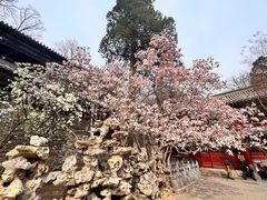 -潭柘寺景区