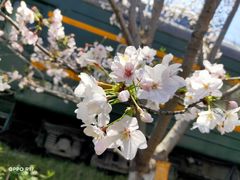 -新天地活力PARK