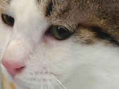 -远洋未来广场(育慧北路店)