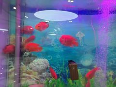 -雅悦齿科(顾村公园店)