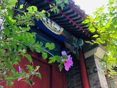 -阳台山自然风景区