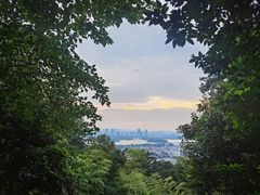 -紫金山山顶公园