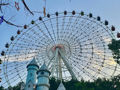 -温州乐园