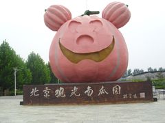 -观光南瓜园