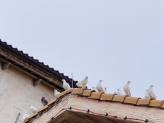 -华谊兄弟（长沙）电影小镇