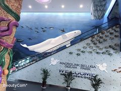 -芜湖新华联大白鲸海洋公园
