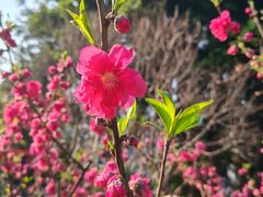 -乌山风景区