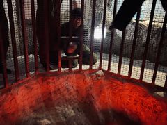 -E+有冰工厂·昆仑寒宫2(五角场店)