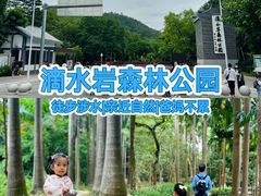 -滴水岩森林公园