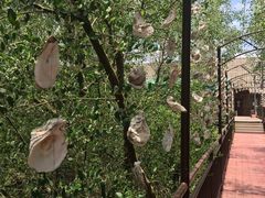 -崖口红树林海鲜餐厅
