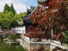 -绿波廊(豫园店)