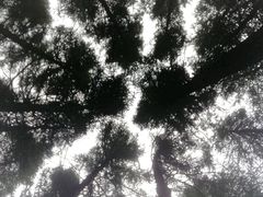 -驼梁风景区