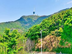 -梧桐山风景名胜区