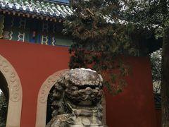 -灵谷景区