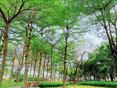 -顺峰山公园