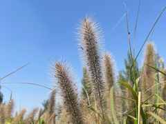 -汉长安城未央宫国家考古遗址公园