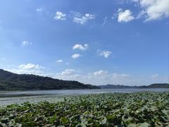 -东钱湖小普陀景区