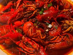 -京B·东篱精酿啤酒音乐餐厅