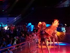 -灵玲国际马戏城