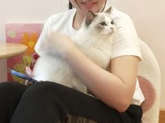 -猫咪派对(江南西店)