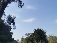 -广州雕塑公园