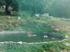 -西安秦岭野生动物园