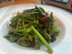 凉拌丝瓜尖-客临百思德·东北特色馆(龙湖时代天街店)