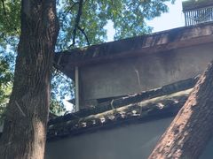 -灵顺寺