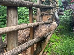 -昆明动物园