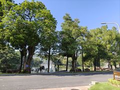 -南宁荔园维景国际大酒店·荔园中餐厅