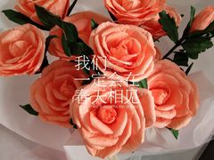 -山文星辉影城(青岛和谐广场店)