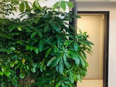 -感智盲人按摩·艾灸·肩颈SPA(岗厦店)