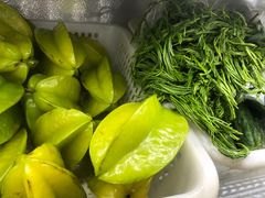-晓雯人家