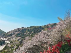 -泰山风景名胜区