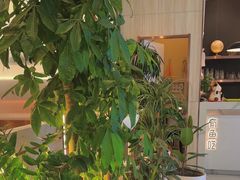 -有鱼吃·纸包烤鱼(曲江创意谷店)