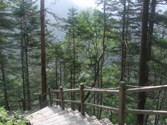 -凤凰山国家森林公园