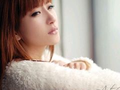 -金太狼4k国际影城