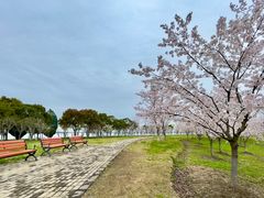 -阳澄湖半岛旅游度假区