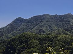 -六里坪国家森林公园