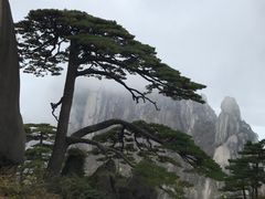 -黄山风景区