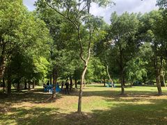 -上海海湾国家森林公园