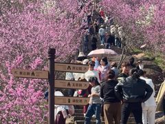 -天台山赤城山景区