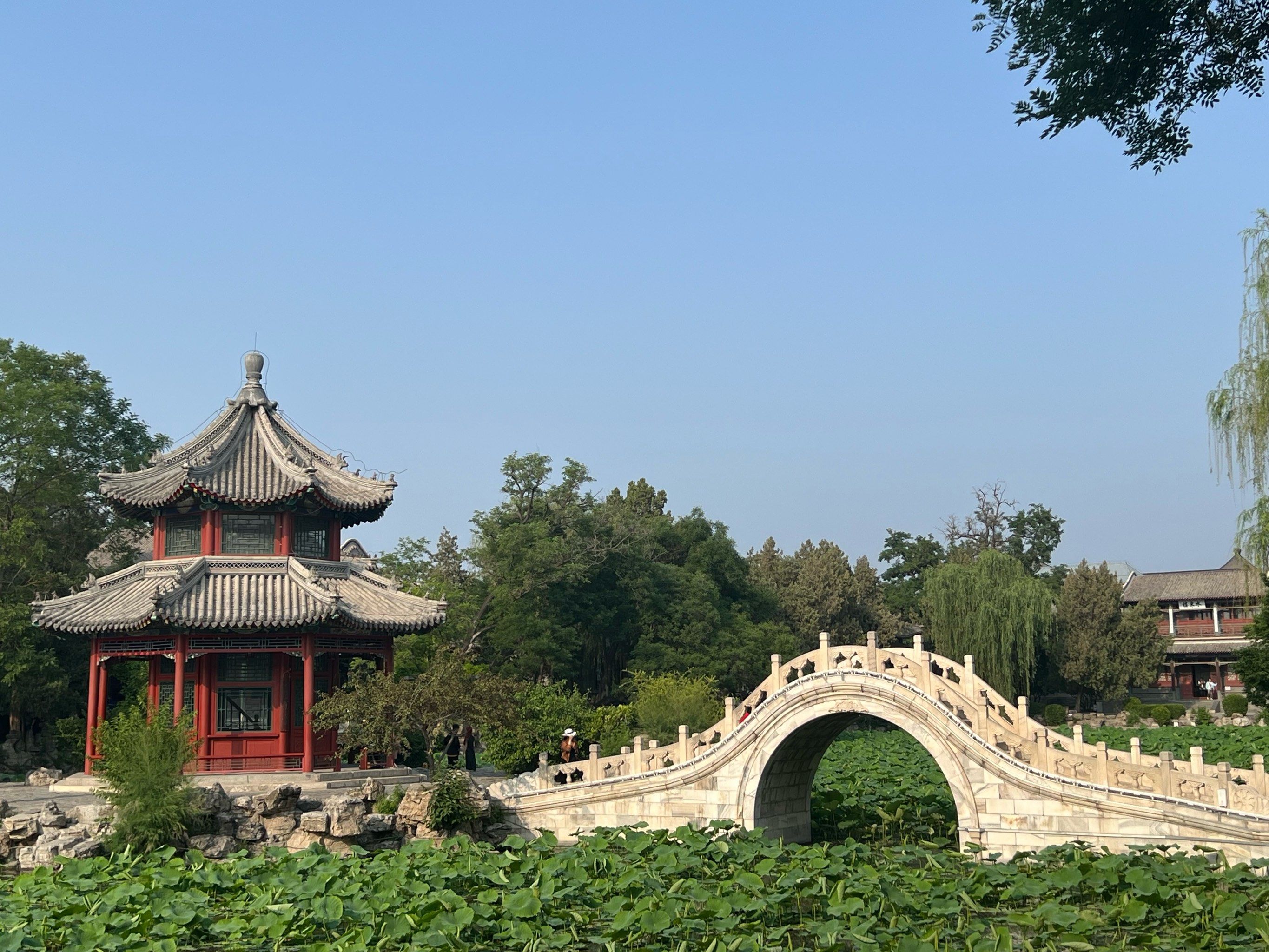 出游志古莲花池